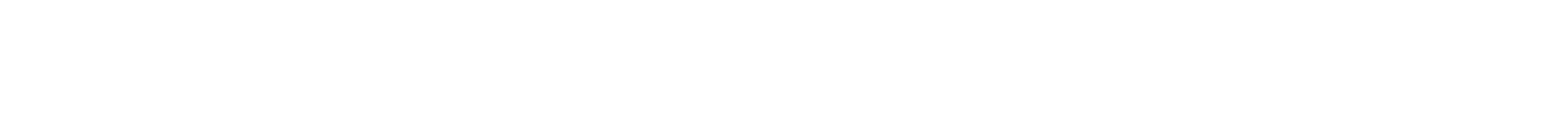 DSN Logo